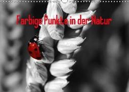 Farbige Punkte in der Natur / Geburtstagskalender (Wandkalender 2018 DIN A3 quer)