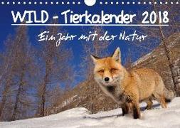 WILD - Tierkalender 2018 (Wandkalender 2018 DIN A4 quer)