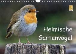Heimische Gartenvögel (Wandkalender 2018 DIN A4 quer)