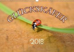 Marienkäfer 2018 (Wandkalender 2018 DIN A3 quer)