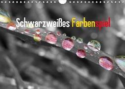 Schwarzweißes Farbenspiel 2018 / CH-Version (Wandkalender 2018 DIN A4 quer)