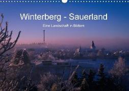 Winterberg - Sauerland - Eine Landschaft in Bildern (Wandkalender 2018 DIN A3 quer)