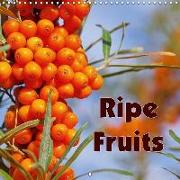 Ripe Fruits (Wall Calendar 2018 300 × 300 mm Square)