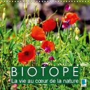 Biotope - La vie au coeur de la nature (Calendrier mural 2018 300 × 300 mm Square)