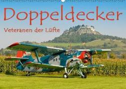 Doppeldecker - Veteranen der Lüfte (Wandkalender 2018 DIN A2 quer)