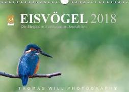 Eisvögel - Die fliegenden Edelsteine in Deutschland / 2018 (Wandkalender 2018 DIN A4 quer)