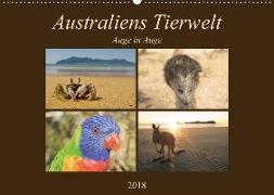 Australiens Tierwelt - Auge in AugeAT-Version (Wandkalender 2018 DIN A2 quer)