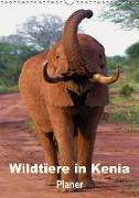 Wildtiere in Kenia / Planer (Wandkalender 2018 DIN A3 hoch)