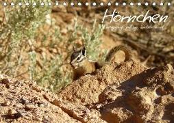 Hörnchen - neugierig, putzig, liebenswert (Tischkalender 2018 DIN A5 quer)