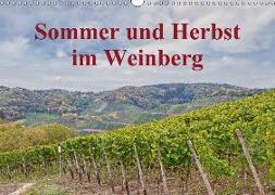 Sommer und Herbst im Weinberg (Wandkalender 2018 DIN A3 quer)
