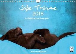 Süße Träume 2018 - schlafende Hundewelpen (Wandkalender 2018 DIN A4 quer) Dieser erfolgreiche Kalender wurde dieses Jahr mit gleichen Bildern und aktualisiertem Kalendarium wiederveröffentlicht