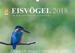 Eisvögel - Die fliegenden Edelsteine in Deutschland / 2018 (Wandkalender 2018 DIN A3 quer)