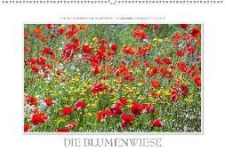 Emotionale Momente: Die Blumenwiese. / CH-Version (Wandkalender 2018 DIN A2 quer)