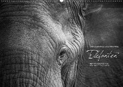 Emotionale Momente: Elefanten in black & white / CH-Version (Wandkalender 2018 DIN A2 quer)