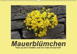 Mauerblümchen - Raus aus dem Schatten und rein in das Rampenlicht (Wandkalender 2018 DIN A2 quer)