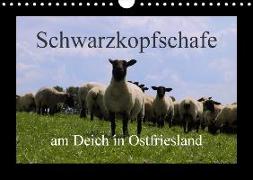 Schwarzkopfschafe am Deich in Ostfriesland (Wandkalender 2018 DIN A4 quer)