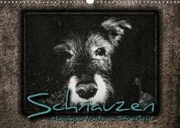Schnauzen - Hundeportraits im Streiflicht (Wandkalender 2018 DIN A3 quer)