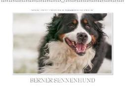 Emotionale Momente: Berner Sennenhund. / CH-Version (Wandkalender 2018 DIN A2 quer)