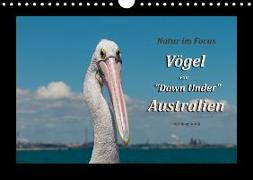 Vögel von "Down Under" Australien (Wandkalender 2018 DIN A4 quer)