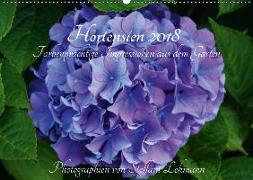 Hortensien 2018 - Farbenprächtige Impressionen aus dem Garten (Wandkalender 2018 DIN A2 quer)