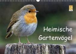 Heimische Gartenvögel (Wandkalender 2018 DIN A3 quer)