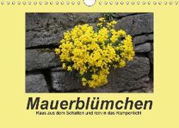 Mauerblümchen - Raus aus dem Schatten und rein in das Rampenlicht (Wandkalender 2018 DIN A4 quer)