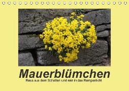 Mauerblümchen - Raus aus dem Schatten und rein in das Rampenlicht (Tischkalender 2018 DIN A5 quer)