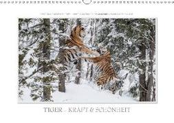 Emotionale Momente: Tiger - Kraft & Schönheit. / CH-Version (Wandkalender 2018 DIN A3 quer) Dieser erfolgreiche Kalender wurde dieses Jahr mit gleichen Bildern und aktualisiertem Kalendarium wiederveröffentlicht