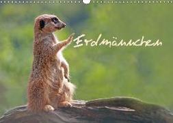 Erdmännchen (Wandkalender 2018 DIN A3 quer)