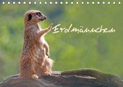 Erdmännchen (Tischkalender 2018 DIN A5 quer)