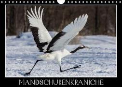 Mandschurenkraniche (Wandkalender 2018 DIN A4 quer)
