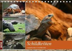 Schildkröten - Gepanzerte Urzeitwesen (Tischkalender 2018 DIN A5 quer)