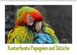 Kunterbunte Papageien und Sittiche (Wandkalender 2018 DIN A2 quer)