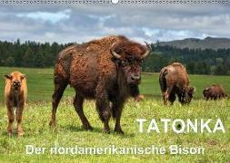 TATONKA Der nordamerikanische Bison (Wandkalender 2018 DIN A2 quer)