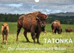 TATONKA Der nordamerikanische Bison (Wandkalender 2018 DIN A4 quer)