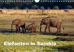 Elefanten in Sambia (Wandkalender 2018 DIN A4 quer)