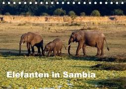 Elefanten in Sambia (Tischkalender 2018 DIN A5 quer)