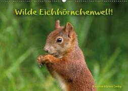 Wilde Eichhörnchenwelt! (Wandkalender 2018 DIN A2 quer)