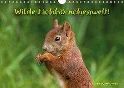 Wilde Eichhörnchenwelt! (Wandkalender 2018 DIN A4 quer)