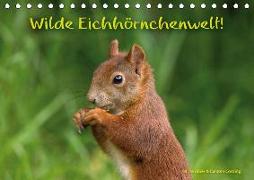 Wilde Eichhörnchenwelt! (Tischkalender 2018 DIN A5 quer)