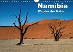 Namibia - Wunder der Natur (Wandkalender 2018 DIN A4 quer)