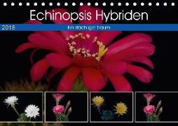 Echinopsis Hybriden. Ein stachliger Traum (Tischkalender 2018 DIN A5 quer)