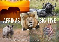 Emotionale Momente: Afrikas Big Five / CH-Version (Wandkalender 2018 DIN A2 quer)