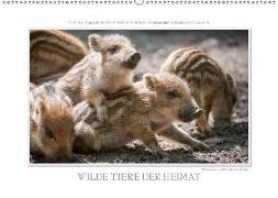 Emotionale Momente: Wilde Tiere der Heimat. / CH-Version (Wandkalender 2018 DIN A2 quer)