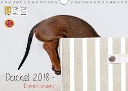 Dackel 2018 - Einfach anders! (Wandkalender 2018 DIN A4 quer)