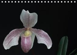 Frauenschuhe - die schönsten Orchideen der Welt (Tischkalender 2018 DIN A5 quer)