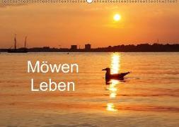 Möwen Leben (Wandkalender 2018 DIN A2 quer)