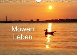 Möwen Leben (Wandkalender 2018 DIN A4 quer)
