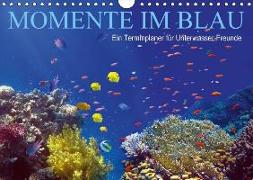 Momente im Blau - Ein Terminplaner für Unterwasser-Freunde (Wandkalender 2018 DIN A4 quer)