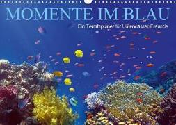 Momente im Blau - Ein Terminplaner für Unterwasser-Freunde (Wandkalender 2018 DIN A3 quer)